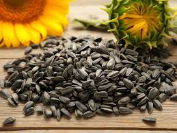 sunflowers seeds